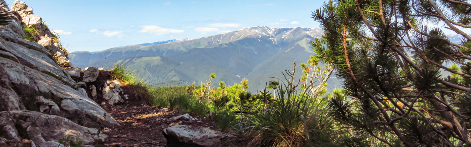 The Romanian Mountains