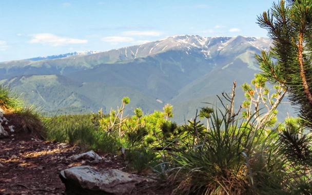 The Romanian Mountains