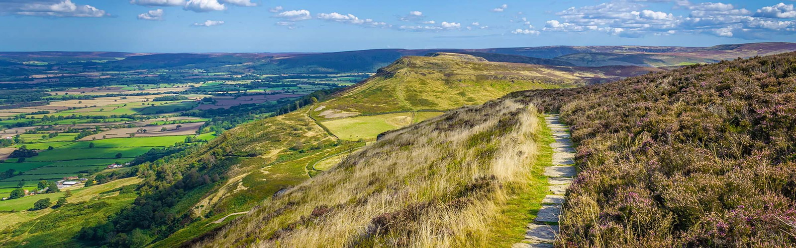 Cold Moor viewed from Cringle Moor (photo: Bernie McLinden)
