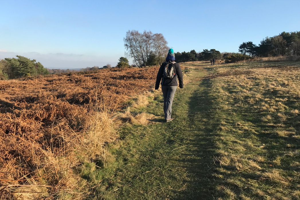 Five Hundred Acre Wood