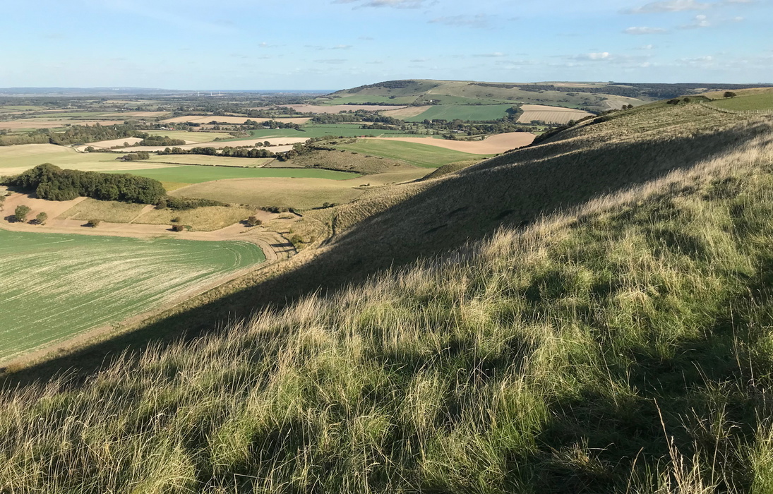 South Downs