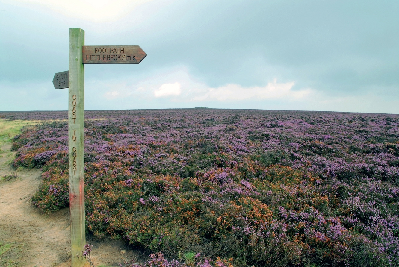 Heather moorlands. Taken from Terry's guidebook to the Coast to Coast