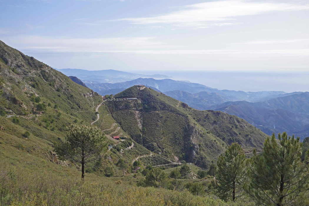 The Pena Escrita Zoo