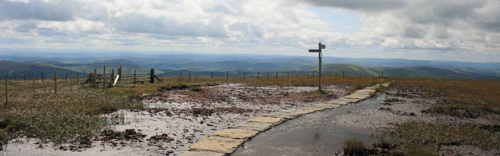Pennine  Way Spur To  Cheviot Summit