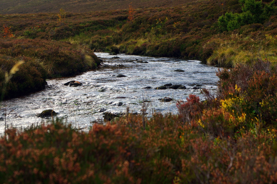 River Nethy Cairngorms
