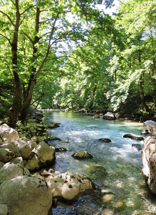 Voidhomatis  Springs  Vikos  Gorge