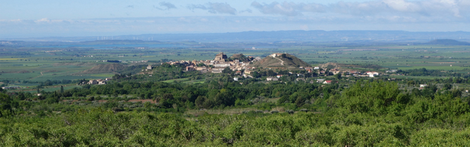 Article Header Image