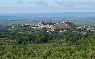 Article Header Image