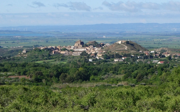 Article Header Image