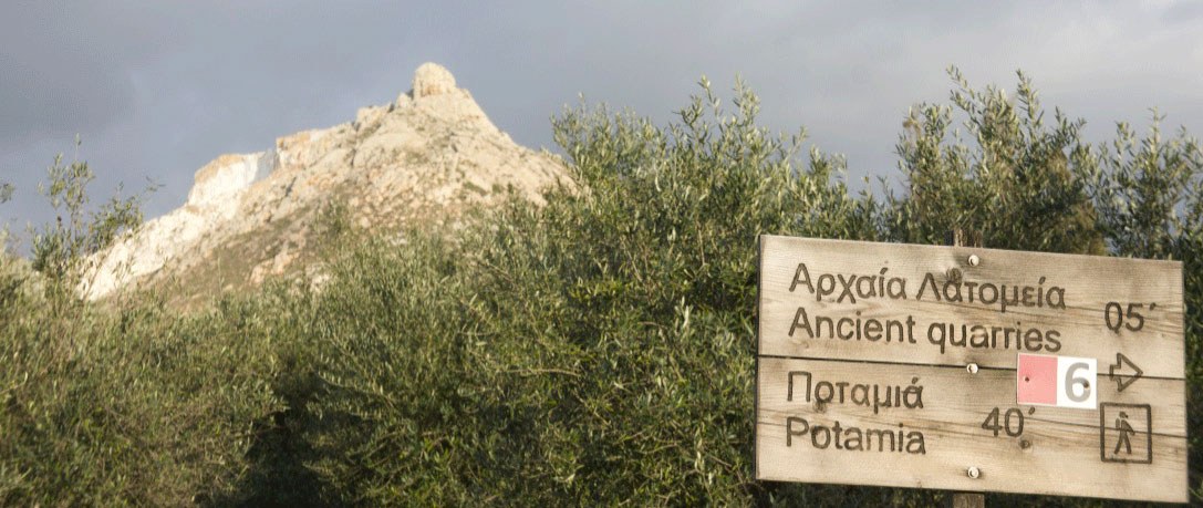 waymarked network of paths