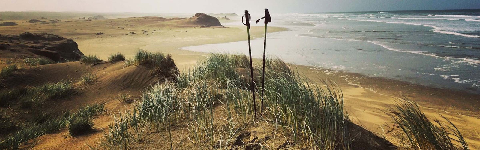 Fastpacking the Te Aroroa