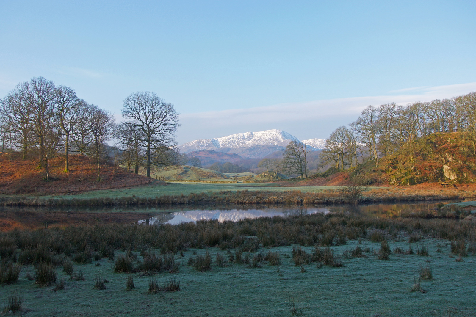 Early morning light and long shadows
