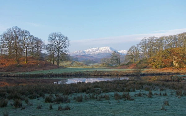 Early morning light and long shadows