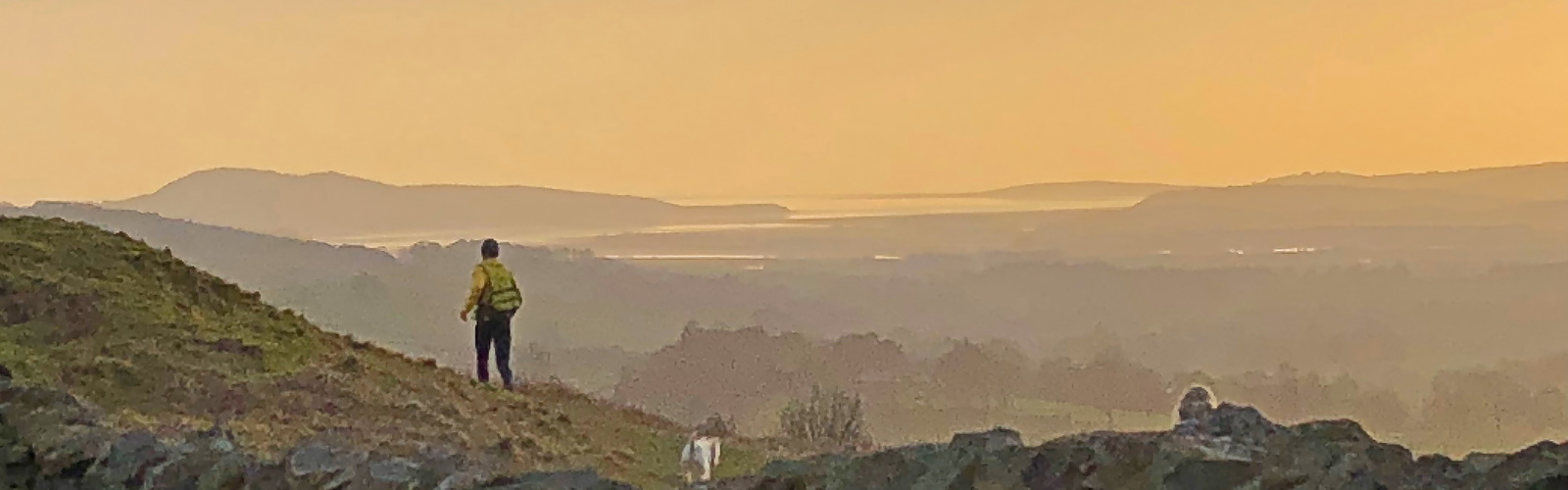 Make the most of light