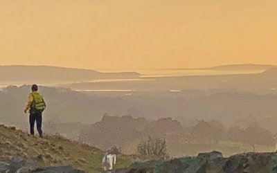 Make the most of light