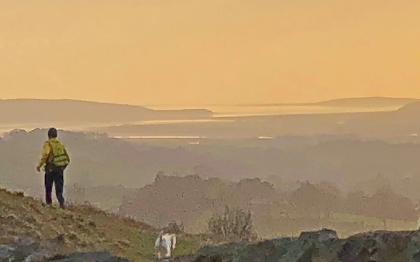 Make the most of light