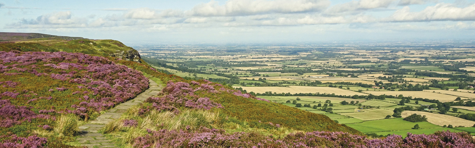 Article Header Image