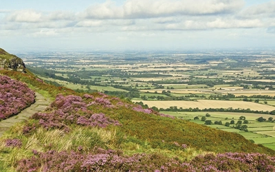 Article Header Image