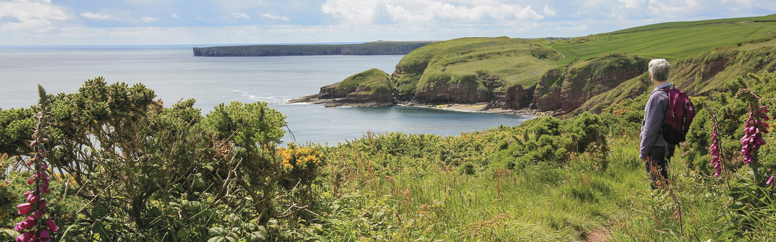 Stunning views on the Pembrokeshire Coast Path