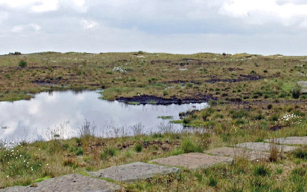 Article Header Image