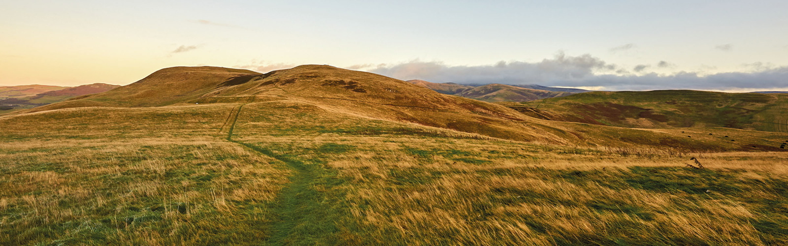 Walking St Cuthberts Way