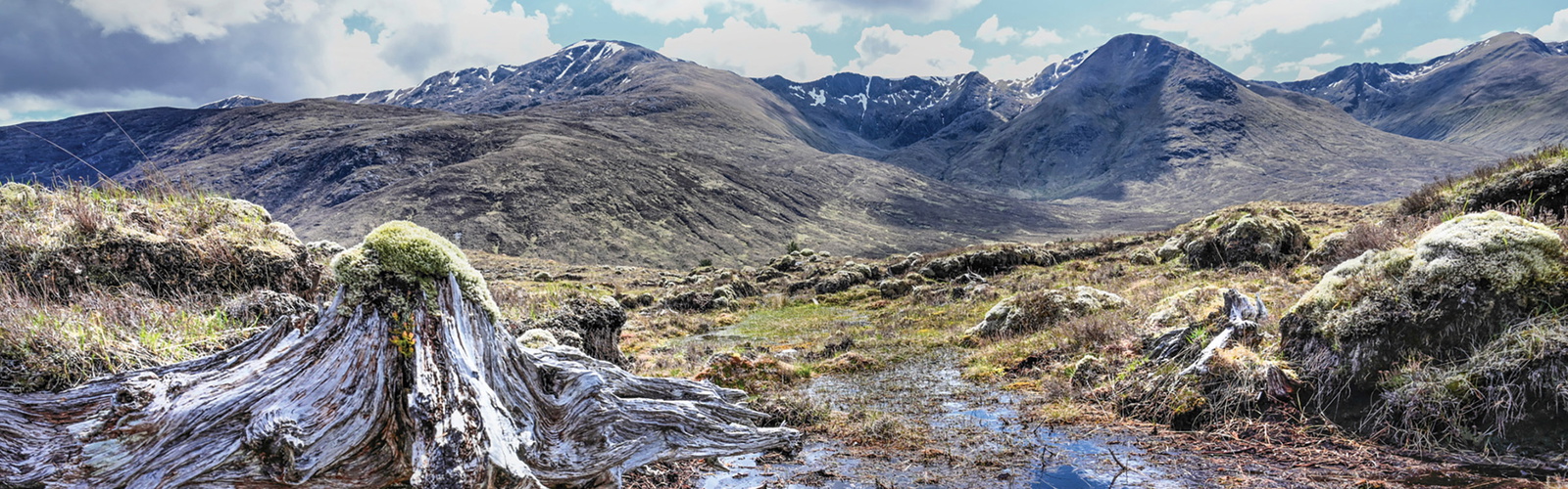 The eastern end of the South Shiel ridge