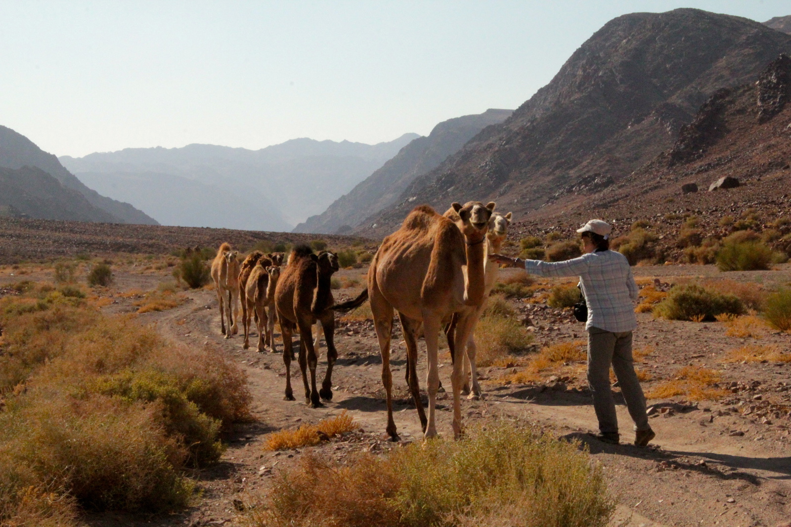 History of the Jordan Trail 
