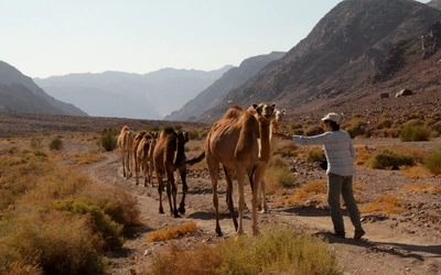 History of the Jordan Trail