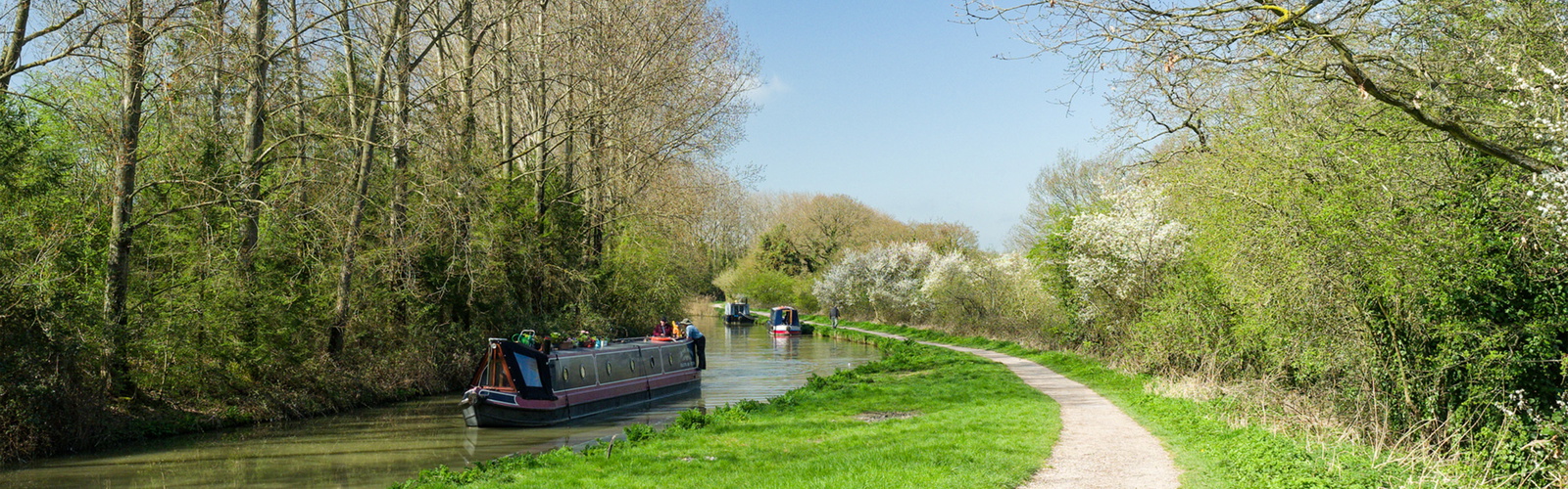 Article Header Image