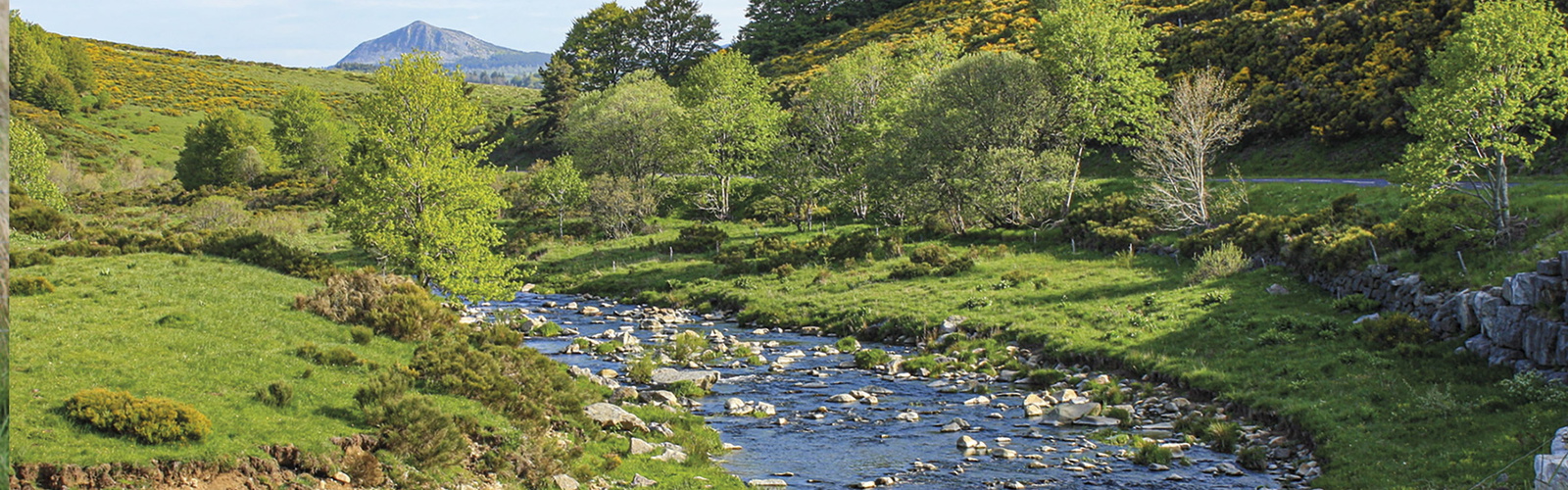 Article Header Image