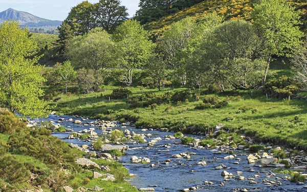 Article Header Image