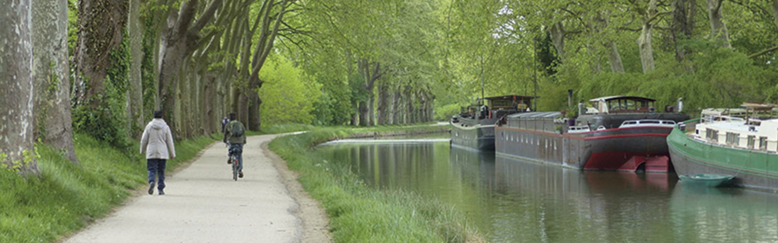 Article Header Image