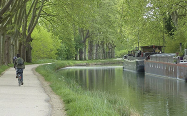 Article Header Image