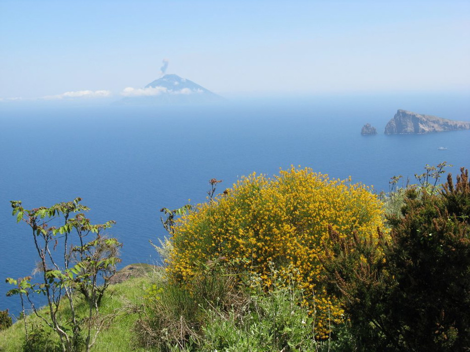 Stromboli From Punta Del Corvo