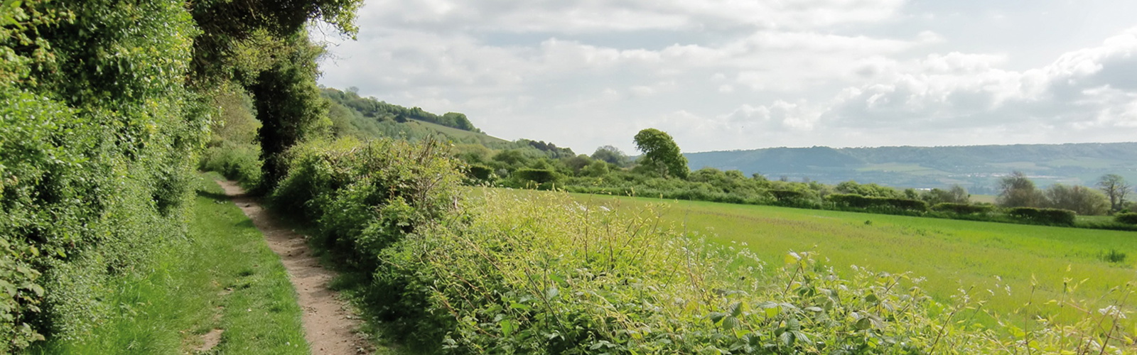 North downs way header