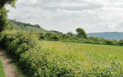 North downs way header