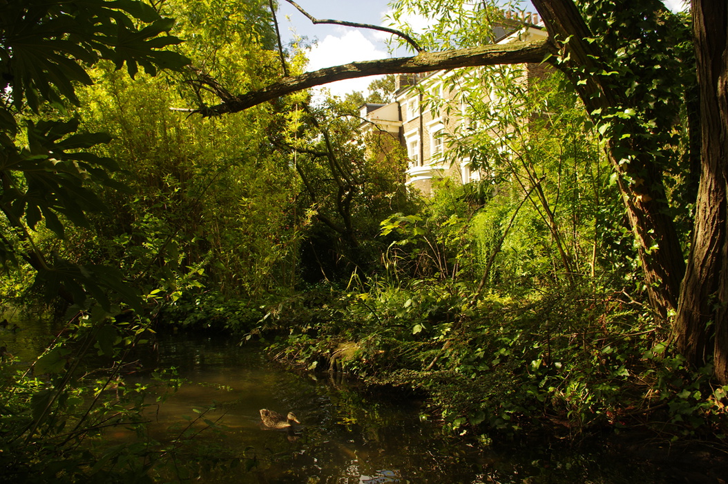 The Reconstructed New River In Canonbury