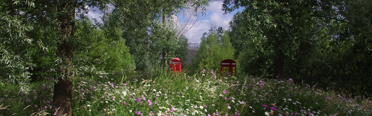 The Wetlands Of Queen Elizabeth Olympic Park