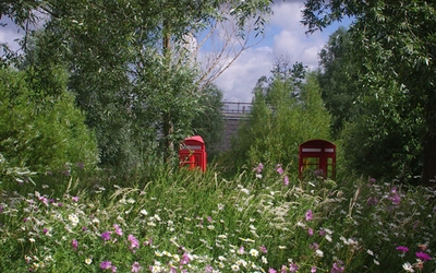 The Wetlands Of Queen Elizabeth Olympic Park