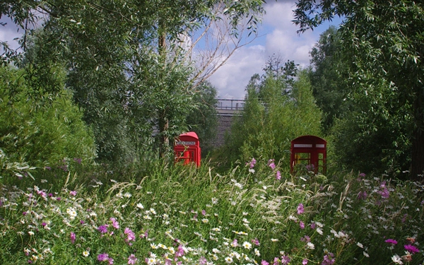 The Wetlands Of Queen Elizabeth Olympic Park